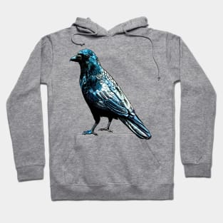 raven Hoodie